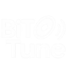 BiTTune